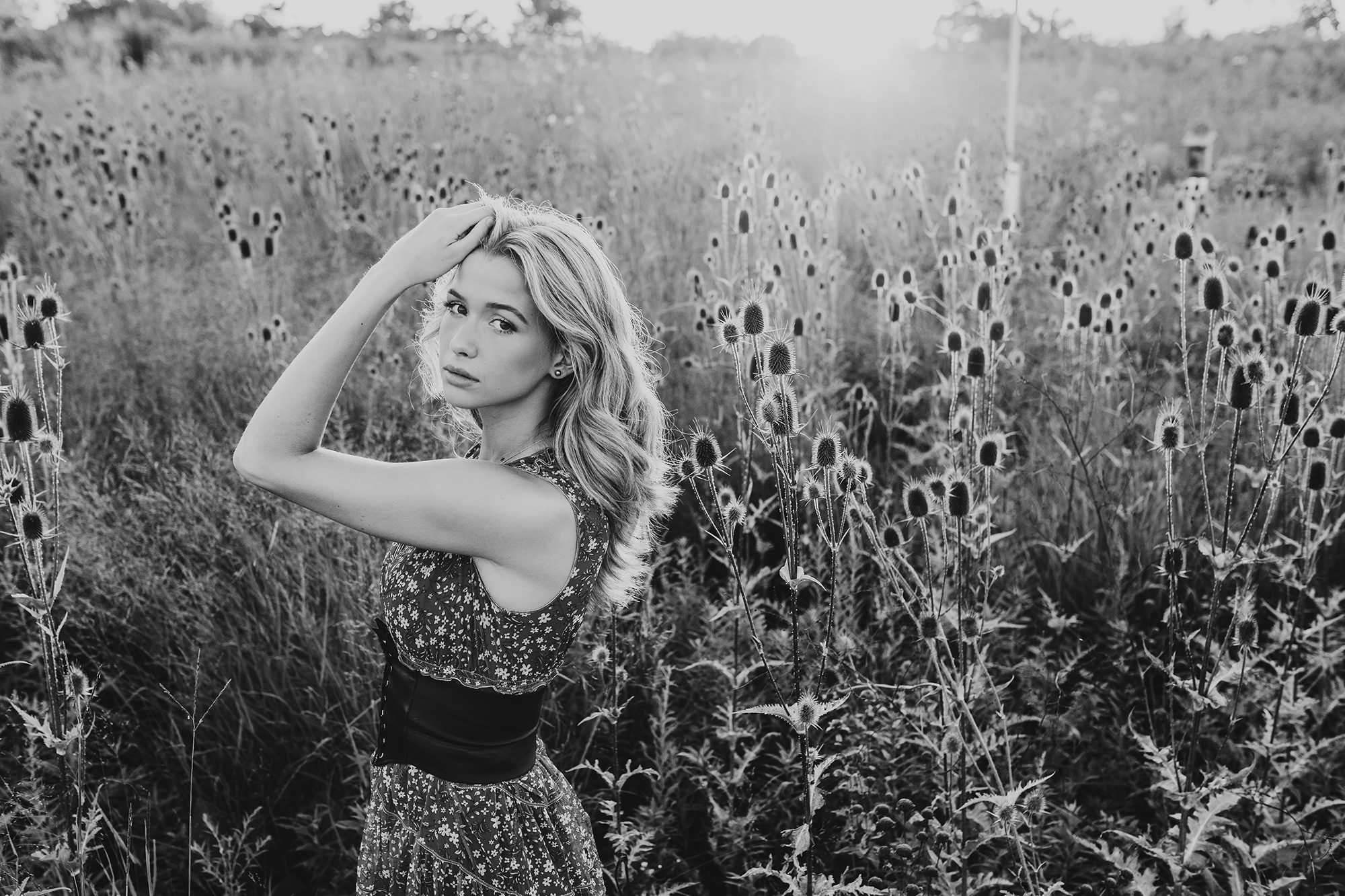 Carmilla Jane Photography senior photo of a girl in a field in Columbus, OH