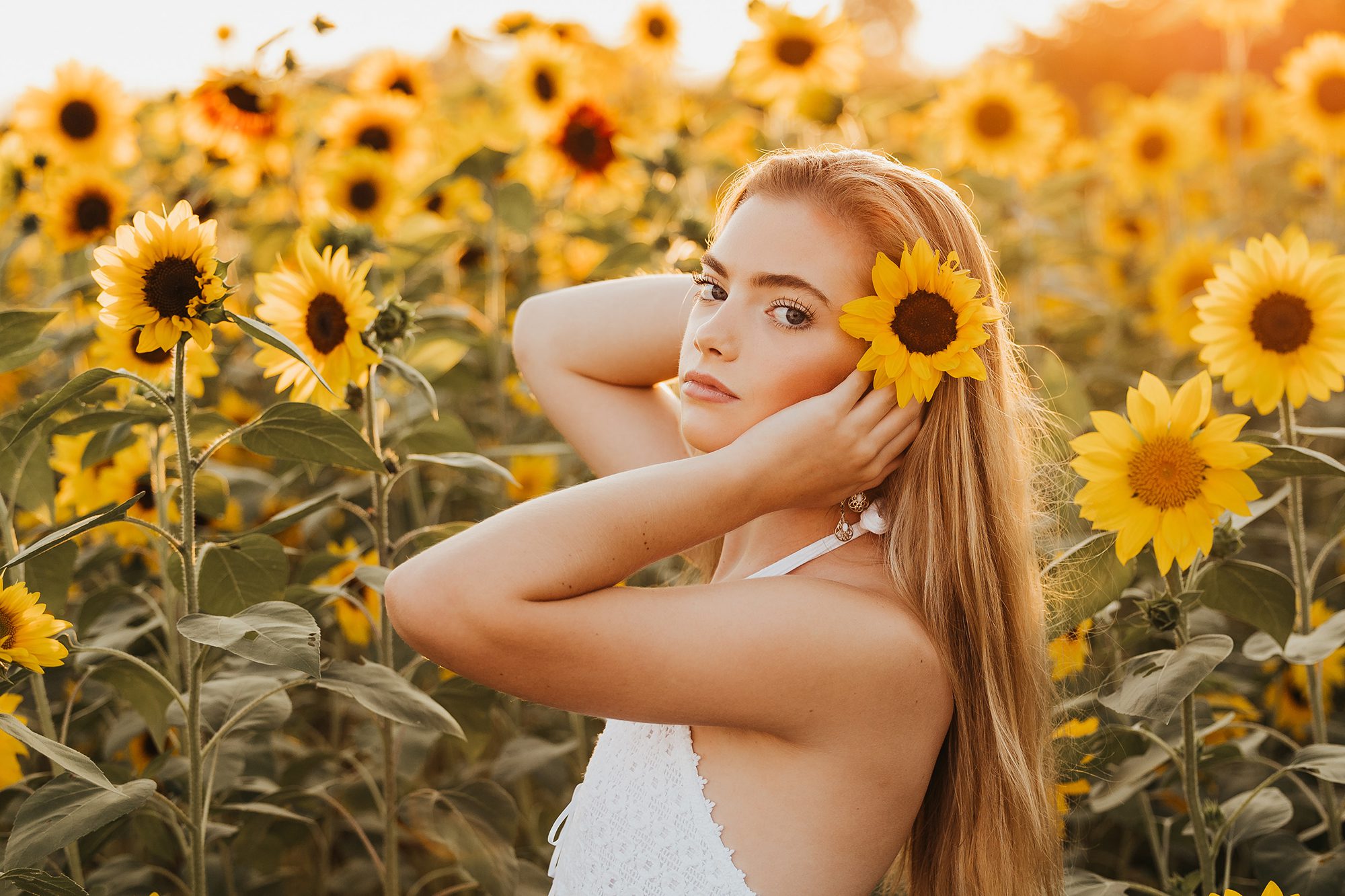 Columbus, Ohio High school senior girl in a sunflower field with the warm golden glow of sunset captured by Carmilla Jane